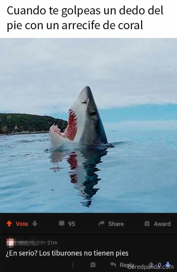 20 Personas que no pillaron la broma y quedaron como tontos en internet