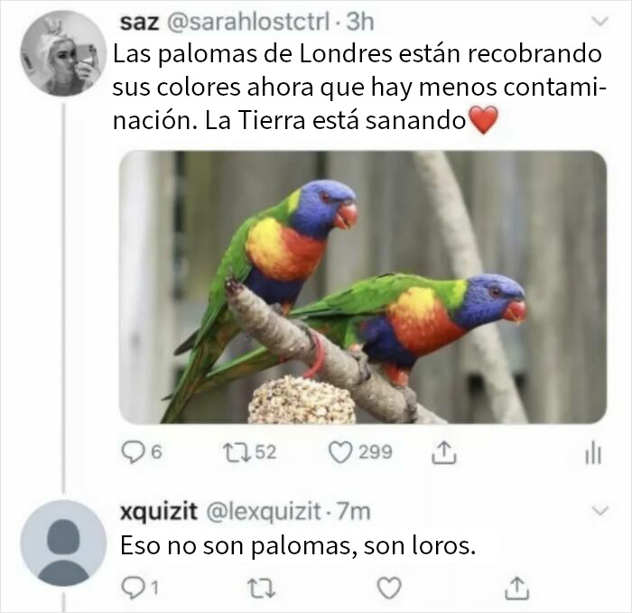 20 Personas que no pillaron la broma y quedaron como tontos en internet