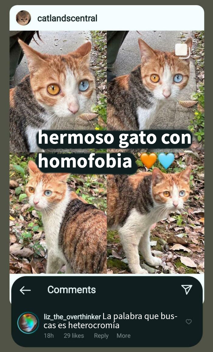 20 Personas que no pillaron la broma y quedaron como tontos en internet