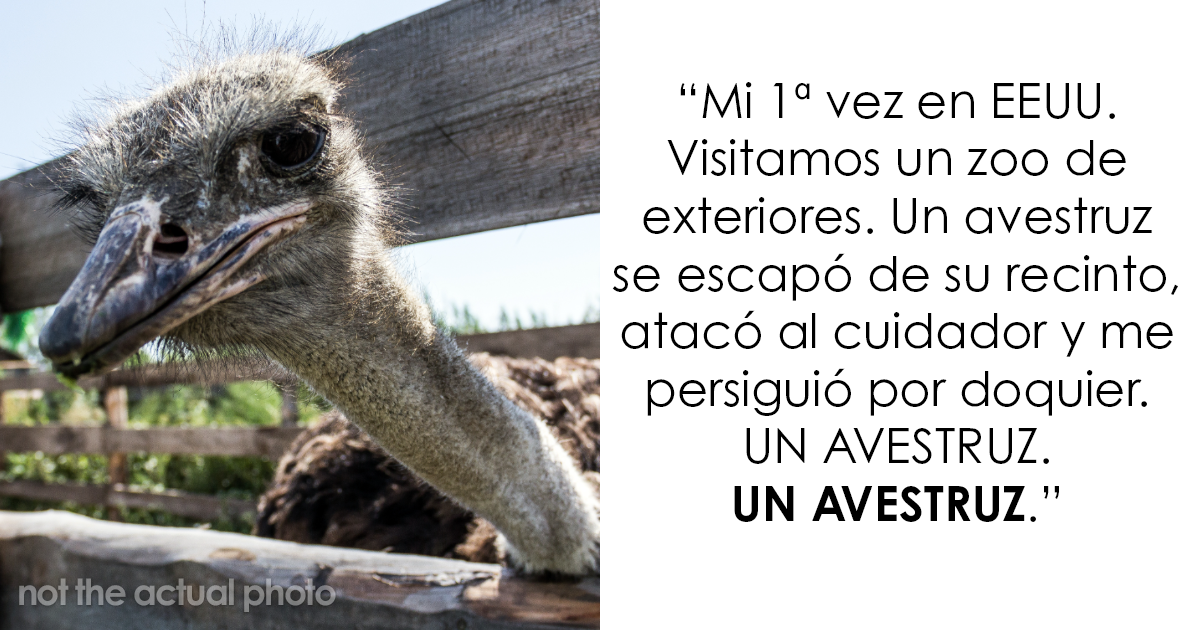 20 Personas que sobrevivieron para contar las historias terroríficas que les sucedieron