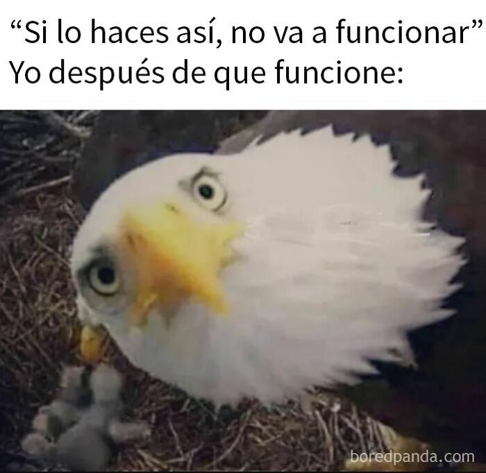 Memes divertidos en captura de pantalla de tuit sobre examen de la vista con letra grande para enviar a tus amigos.