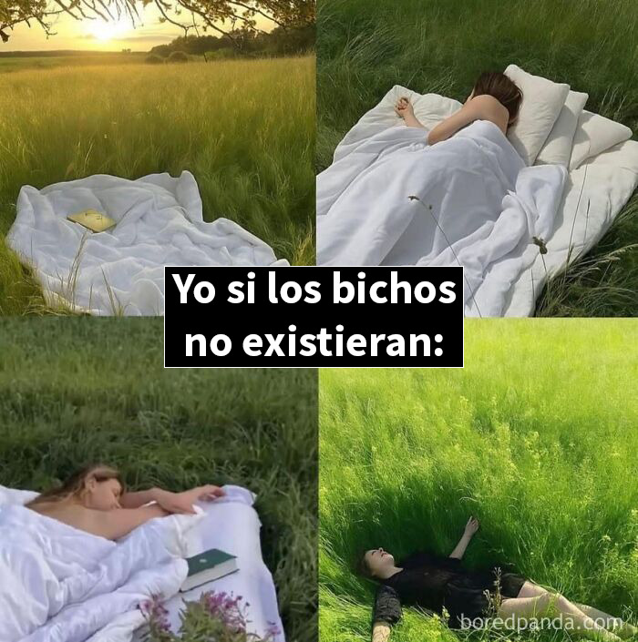 Memes divertidos sobre sellar paquetes de galletas empujando el extremo abierto contra la pared para conservarlas.