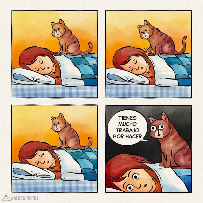 Cómic de animales con una foca y una ballena conversando sobre la intervención humana para salvarlos.