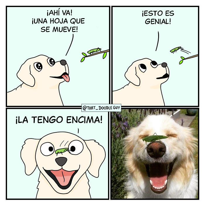 Cómic de animales con perro y saltamontes, ilustrando momentos divertidos y adorables con humor visual.