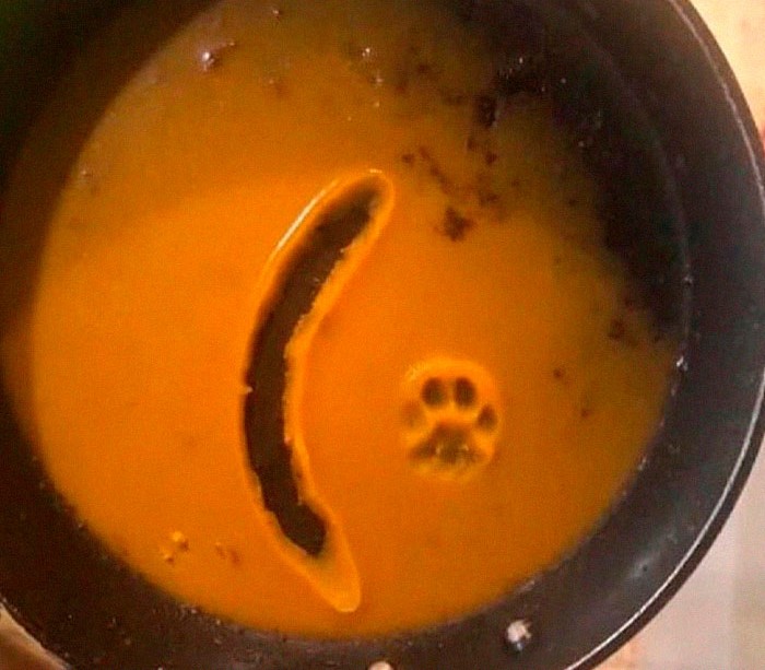 Sartén con sopa mostrando una adorable huella de pata de gato junto a un hueco en forma de salchicha.