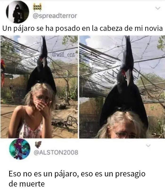 Mujer sorprendida con un ave encima de la cabeza en uno de los memes más divertidos para alegrar tu día.