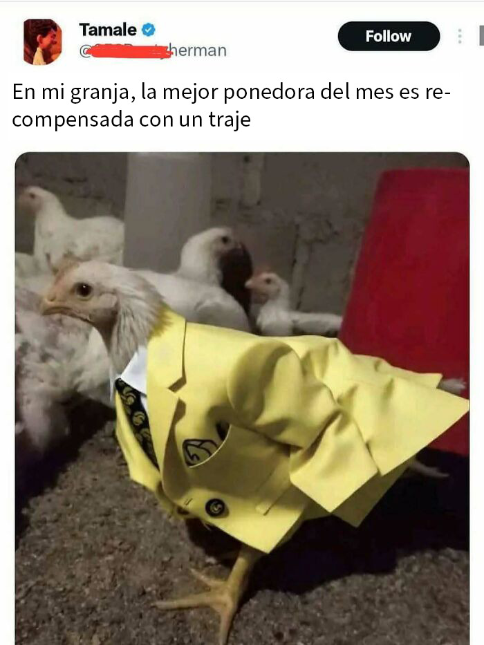 Intercambio divertido sobre robot aspirador en conversación de memes graciosos para alegrar el día.