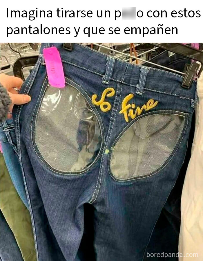 Gato en veterinaria tras esterilización, imagen divertida para memes graciosos que alegran tu día.