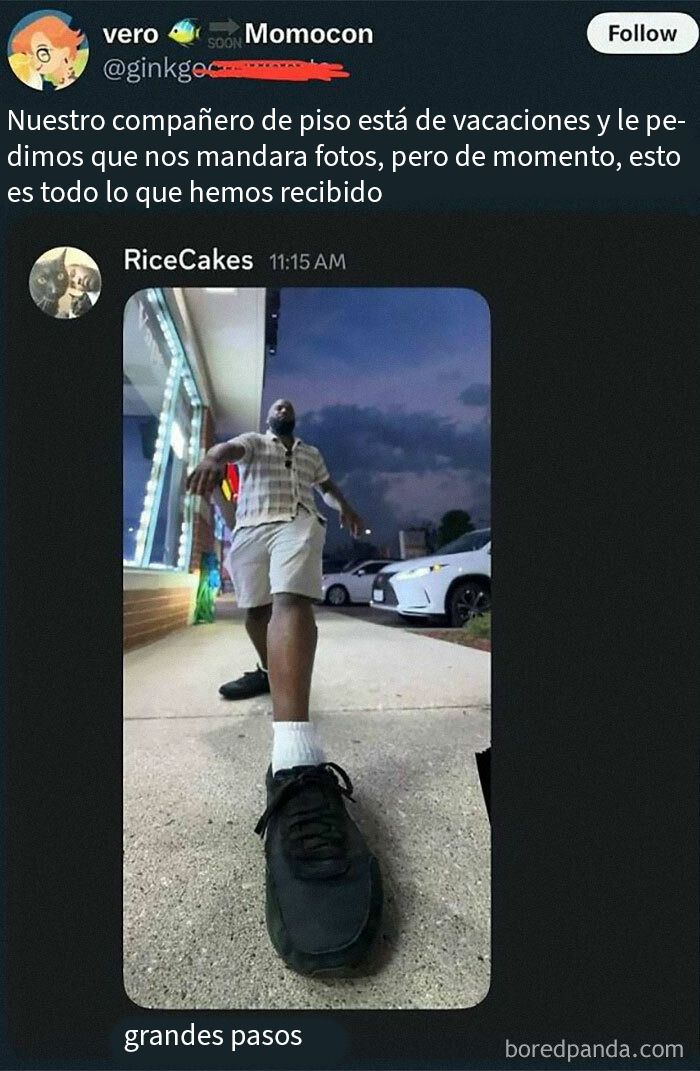 Memes divertidos con batallas épicas entre criaturas australianas y hombres de Florida para alegrar tu día.