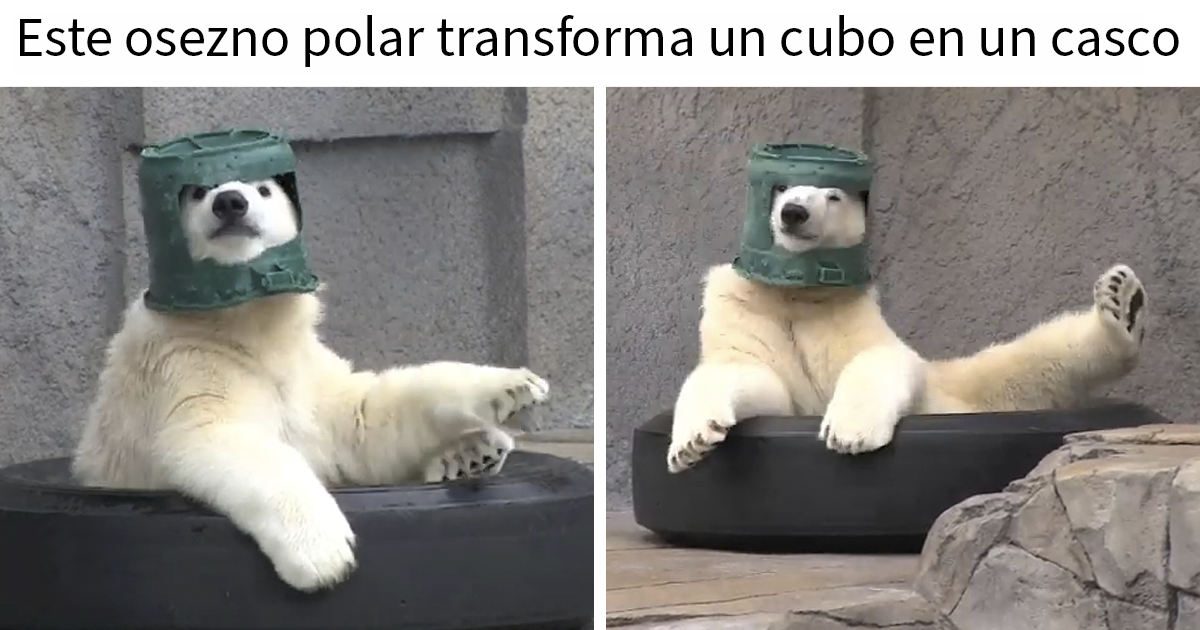 20 Divertidos memes y publicaciones para que no te aburras