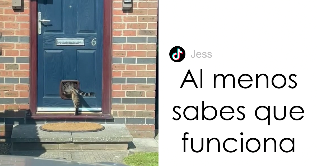 Un manitas instala una gatera, envía un video al cliente y recibe una divertida respuesta