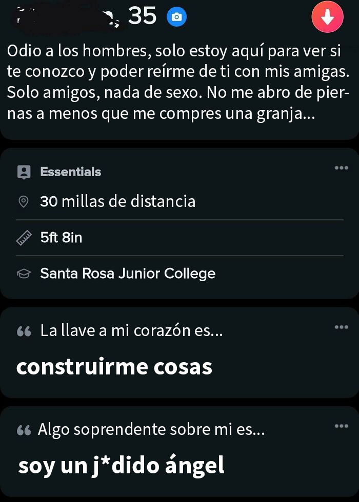 Perfil de mujer con comportamiento delirante en línea, citando odios a hombres y requisitos exagerados en cita.