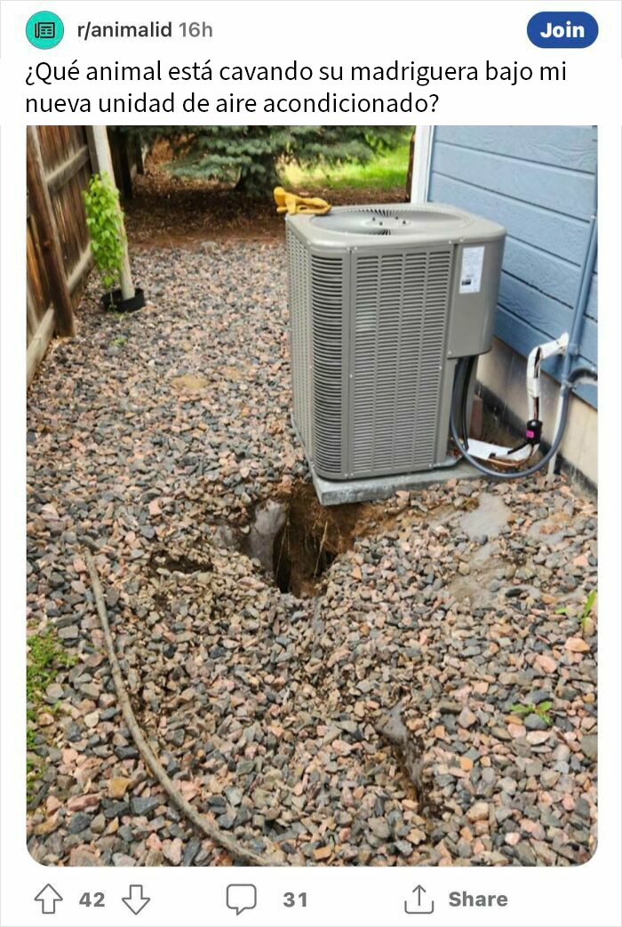 Unidad de aire acondicionado junto a hoyo cavado por animal, muestra peligro sin darse cuenta en exteriores con piedras y cerca madera.