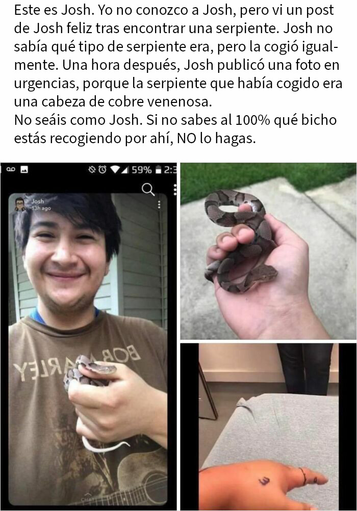 Joven sosteniendo una serpiente venenosa sin saberlo, mostrando las consecuencias de acciones peligrosas sin precaución.