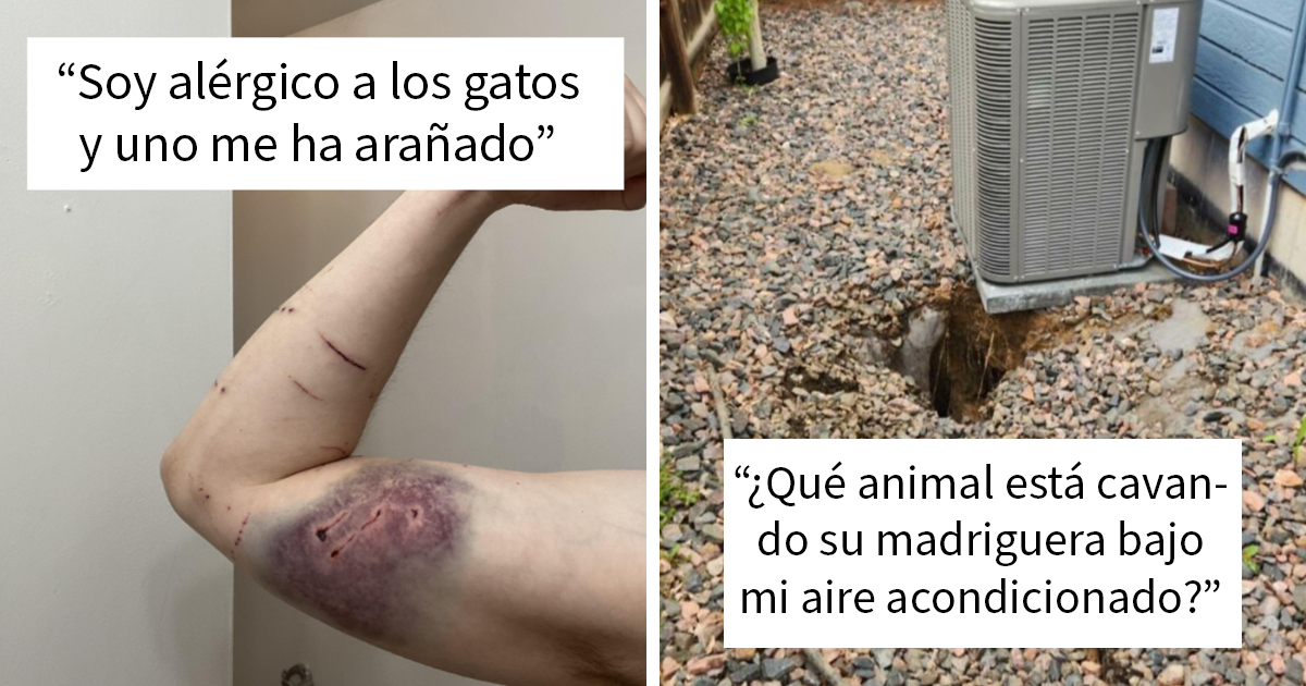 30 Personas que hicieron algo sin darse cuenta de lo peligroso que era