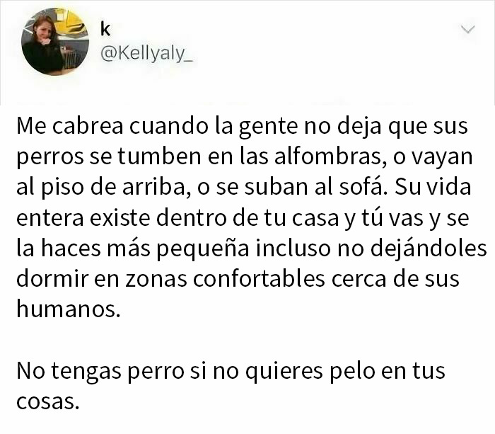 Meme relatable sobre perros y espacio en casa, ideal para quienes buscan memes divertidos y risas hoy.