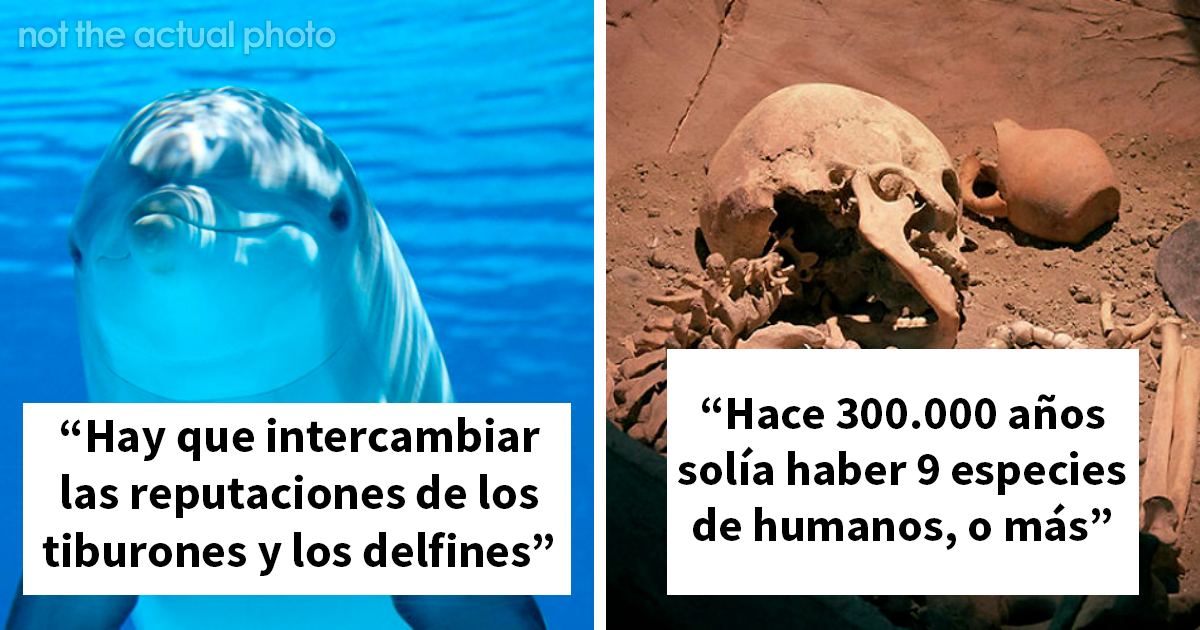 22 Verdades inquietantes sobre los animales que quizá desearías no saber