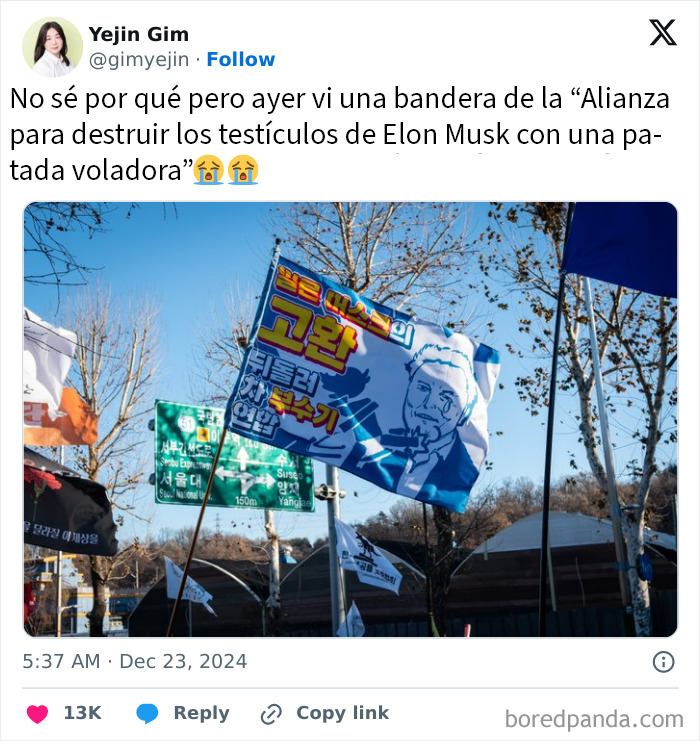 Bandera con imagen de Elon Musk y texto inusual, resaltando frases que sorprendieron y dejaron a todos sin palabras.