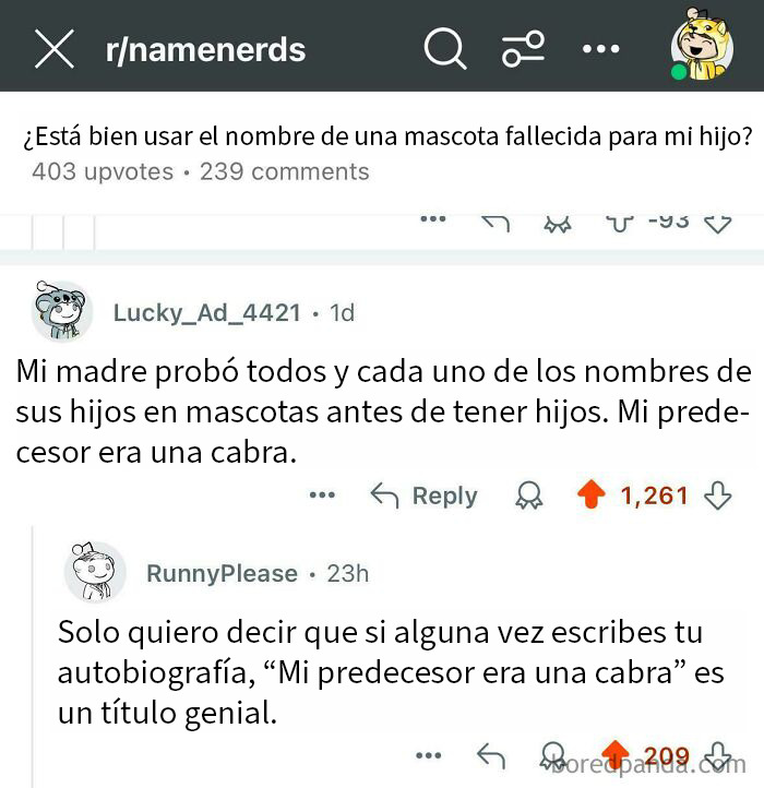 Comentario divertido sobre usar nombres de mascotas fallecidas para hijos, frases que dejaron a todos sin palabras.