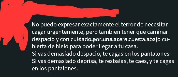 Frase impactante que dejó a todos sin palabras, describiendo el terror al descender lentamente por una acera helada.