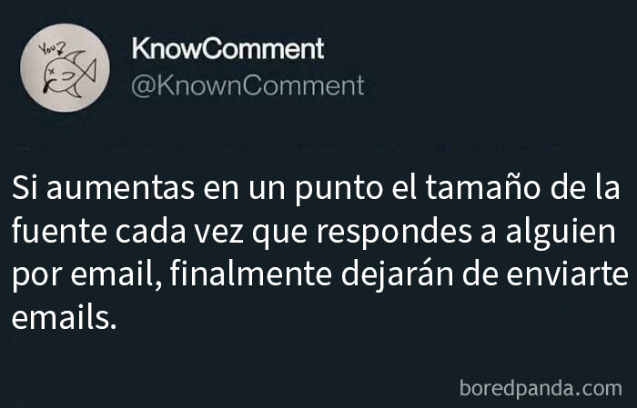 Frase inesperada en imagen que causa sorpresa y deja a todos sin palabras con un mensaje sobre tamaño de fuente en emails.