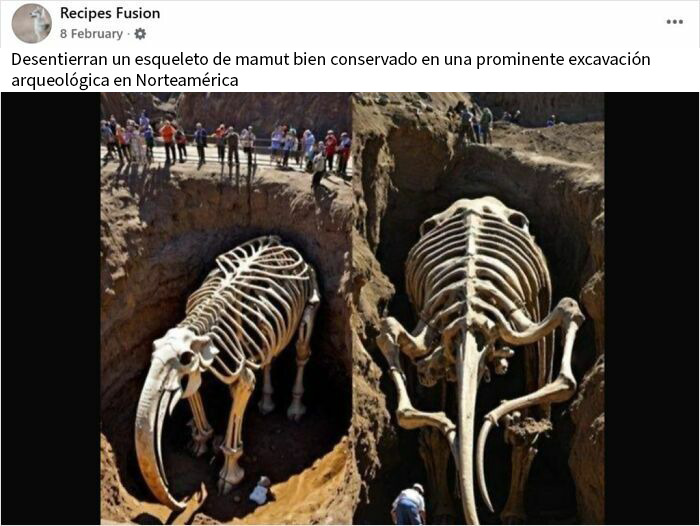 20 Personas que cayeron en la trampa de la ciencia falsa y fueron avergonzadas en internet