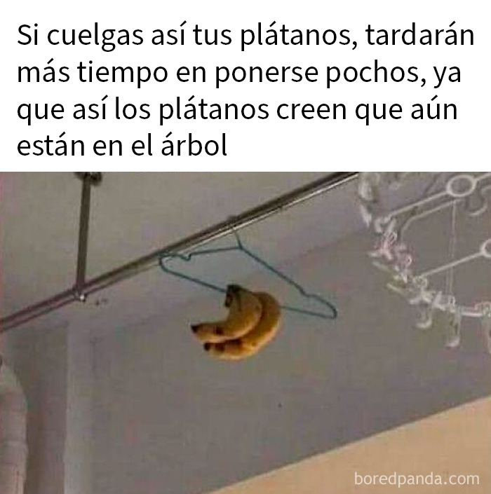 20 Personas que cayeron en la trampa de la ciencia falsa y fueron avergonzadas en internet