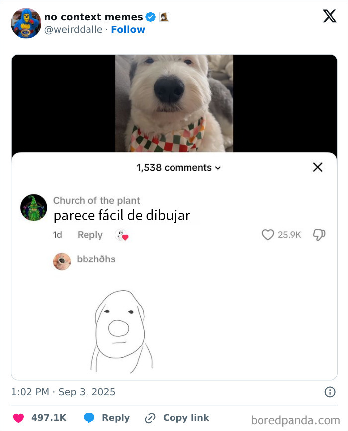 Perro con pañuelo colorido y dibujo simple en comentario divertido sobre niña con un brazo en red social.