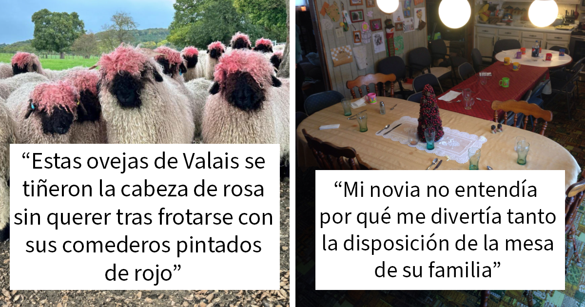 «Comedia Accidental»: 20 Nuevas fotos involuntariamente divertidas