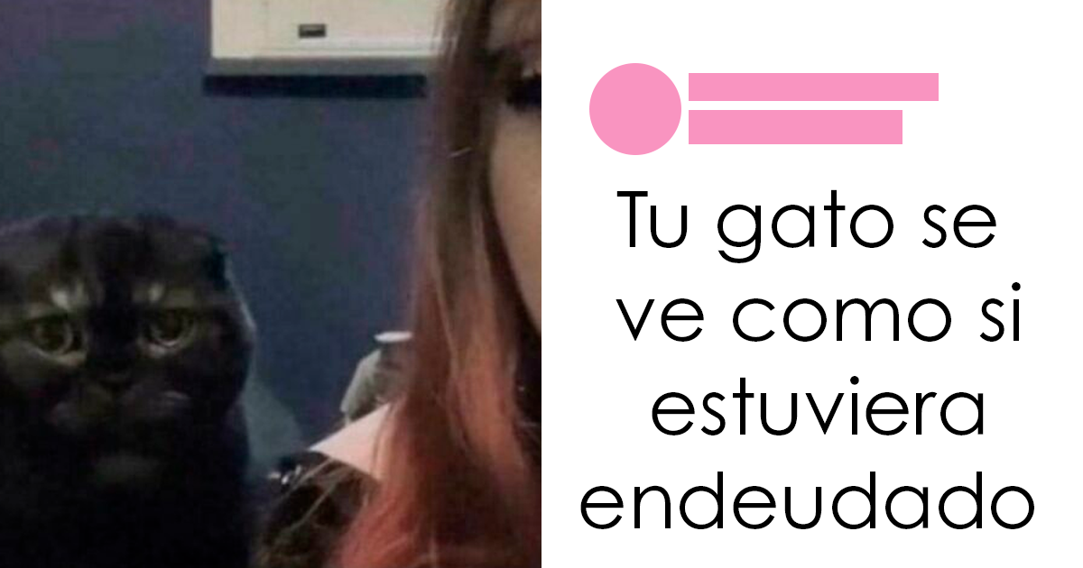 20 Comentarios tan divertidos que se llevaron más fama que las publicaciones en las que aparecen