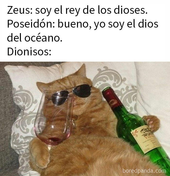 Gato con gafas de sol sosteniendo botella de vino y copa, meme divertido sobre mitos y dioses griegos en familia.
