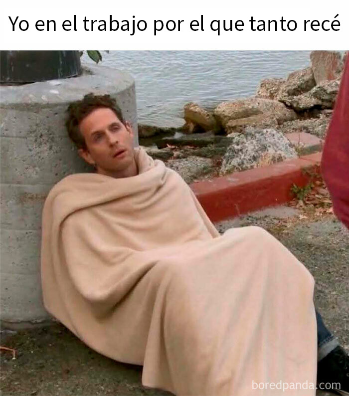 Memes aleatorios que muestran humor como mecanismo de afrontamiento con una rana y un sapo sentados juntos al atardecer.