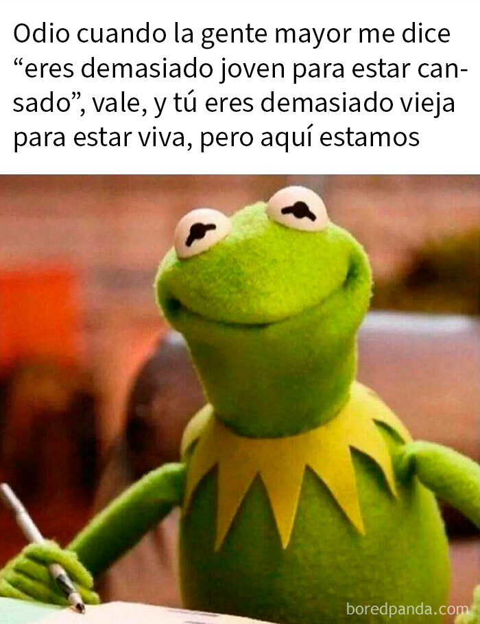 Memes aleatorios que muestran humor como nuestro único mecanismo de afrontamiento con imagen de rana sonriente y texto divertido.