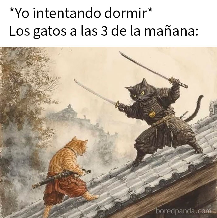 Gato salvaje comiendo una rata, meme animal divertido y relatable para mejorar tu día con humor natural.