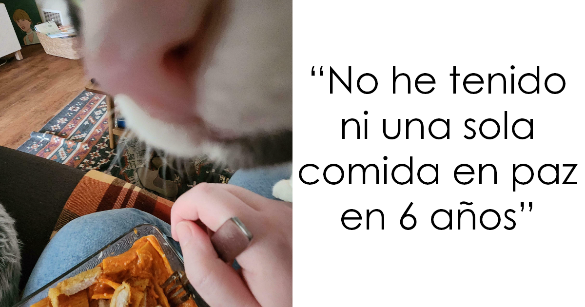 34 Divertidas mascotas que fueron avergonzadas públicamente por portarse mal