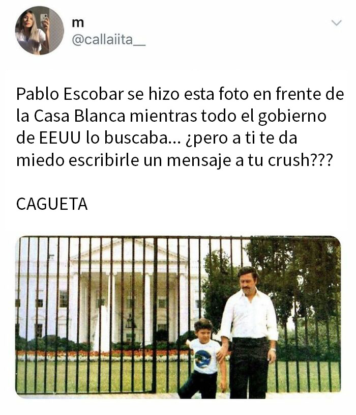 20 Publicaciones y memes entretenidos sobre cultura pop para combatir el aburrimiento