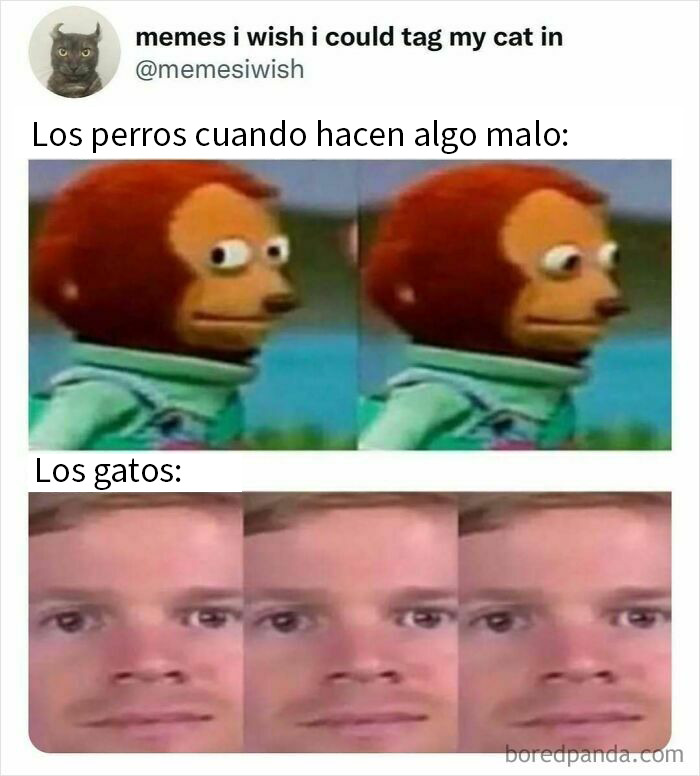 20 Divertidos tuits dedicados a los que les gusta el humor «ofensivo de buen gusto»