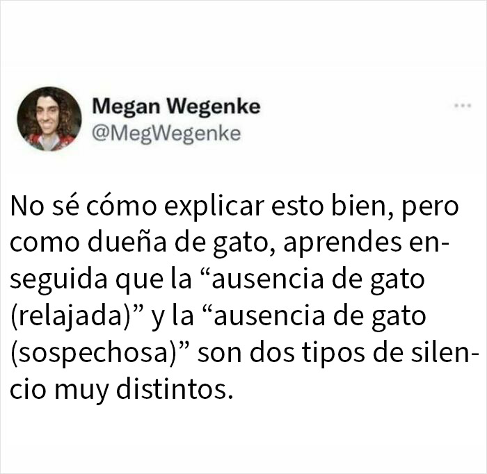 Tuit divertido sobre experiencias humanas que compara el silencio relajado y sospechoso de un gato ausente.