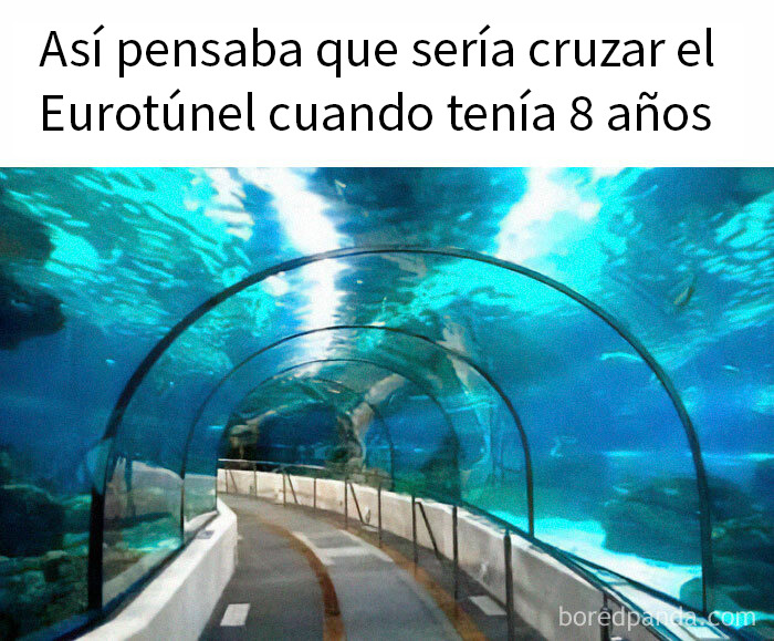 Túnel acuático con peces que representa la imaginación infantil sobre el Eurotunnel en memes divertidos sobre los británicos.