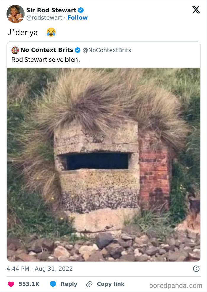 Estructura con hierba que parece tener cabello divertido, meme británico mostrando el humor único del Reino Unido.