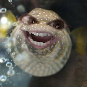 maidergalvezlanda avatar