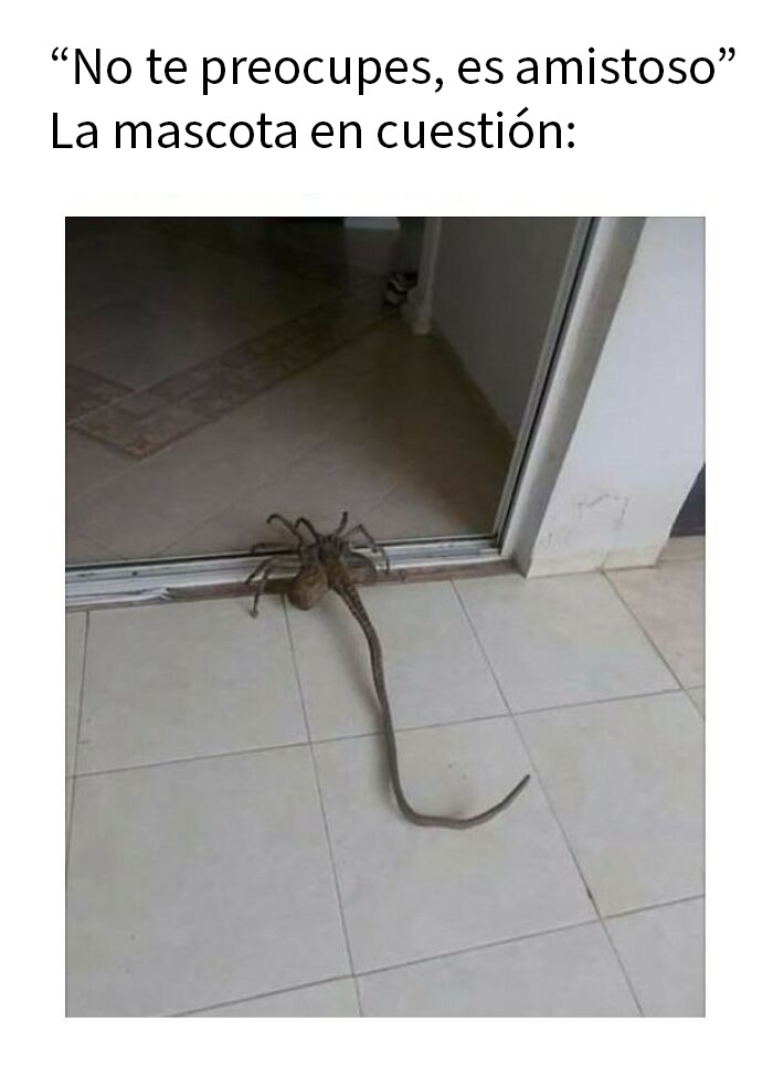 Vehículo policial con texto divertido sobre marcar accidentalmente el número de emergencia, memes relacionados y ofensivos.