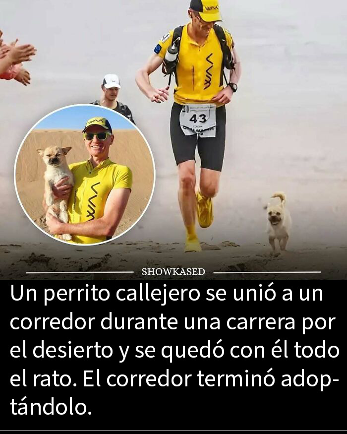Hombre corredor de maratón con perro callejero adorable corriendo juntos en el desierto, momento adorable y conmovedor.