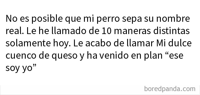 20 Memes divertidos por si te falta tu dosis de risas diaria