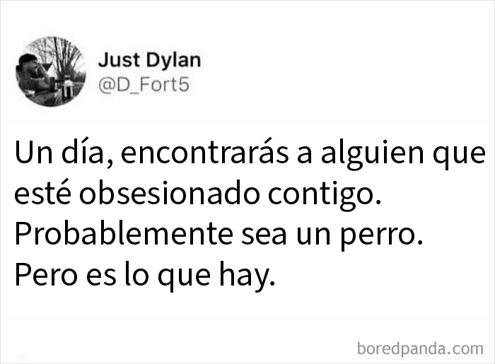 20 Memes divertidos por si te falta tu dosis de risas diaria