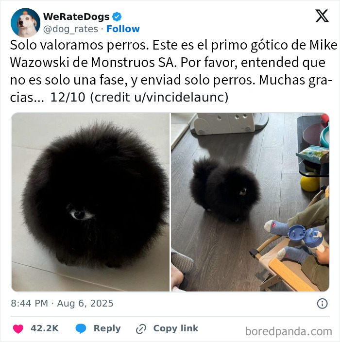 20 Personas que pidieron una valoración de sus perros y recibieron respuestas buenísimas