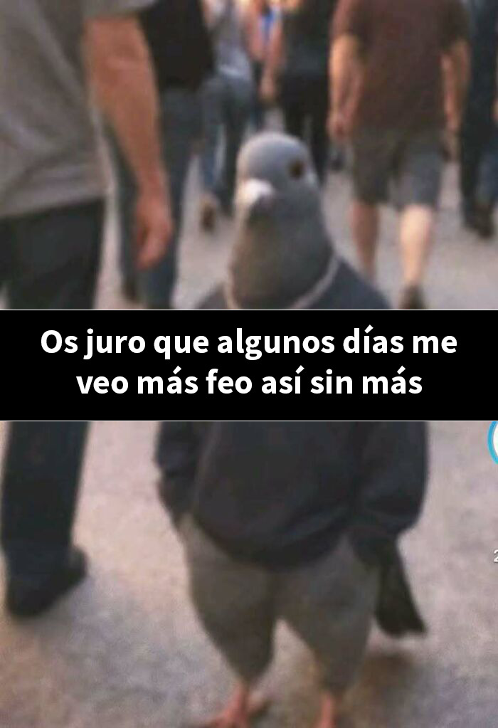 20 Divertidos memes que en realidad son pensamientos malvados