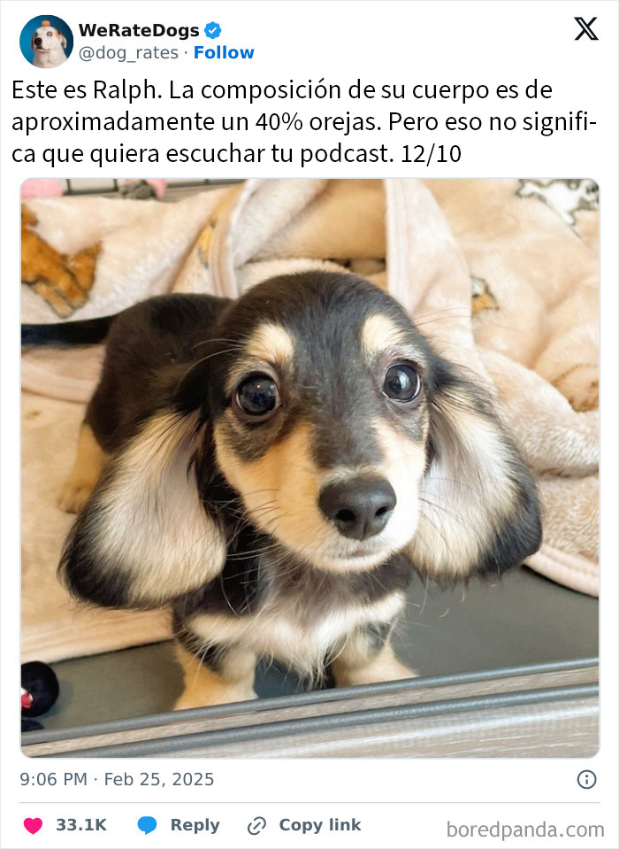 20 Personas que pidieron una valoración de sus perros y recibieron respuestas buenísimas
