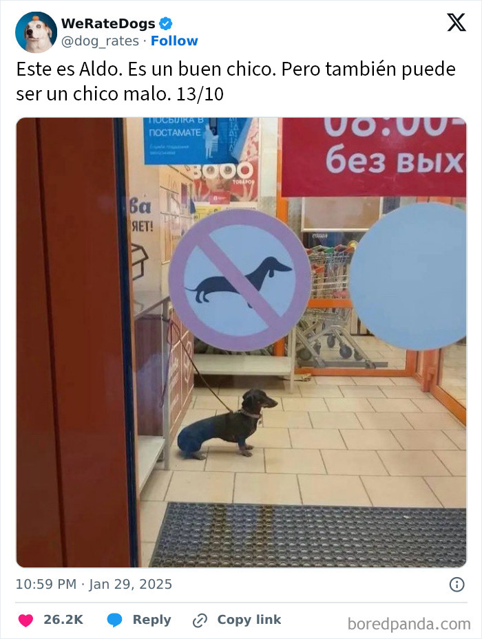 20 Personas que pidieron una valoración de sus perros y recibieron respuestas buenísimas