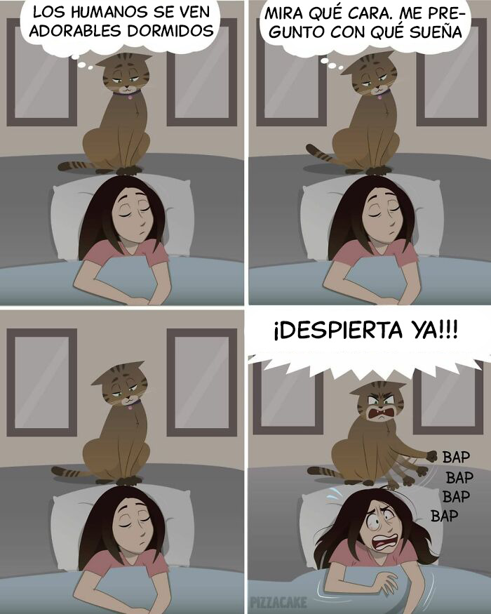 Cómics divertidos y relacionados de PizzaCake sobre temas LGBTQ con personajes en diálogo colorido y expresivo.